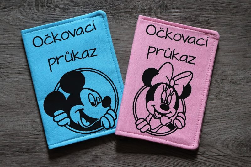 1x Obal na očkovací průkaz Mickey mouse & Minnie mouse